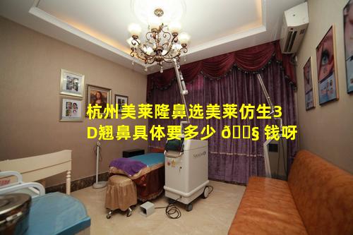 杭州美莱隆鼻选美莱仿生3D翘鼻具体要多少 🐧 钱呀